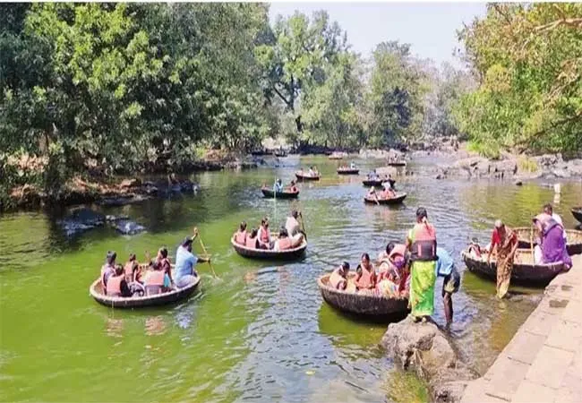 dharmapuri district, hogenakkal falls tourists 